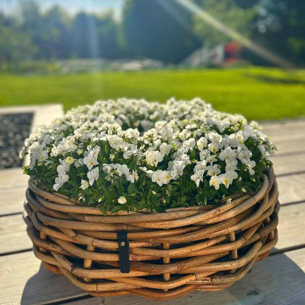 Rattan-Schale Maxi rund 54x20 cm