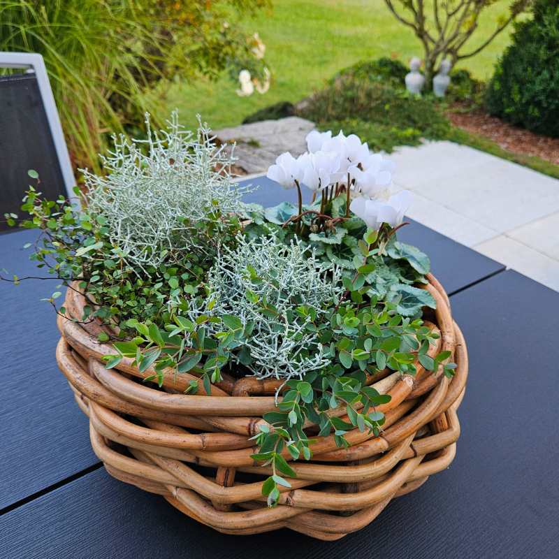 A2 Living Rattan Korb, Schale mini für Indoor und Outdoor, naturbelassen