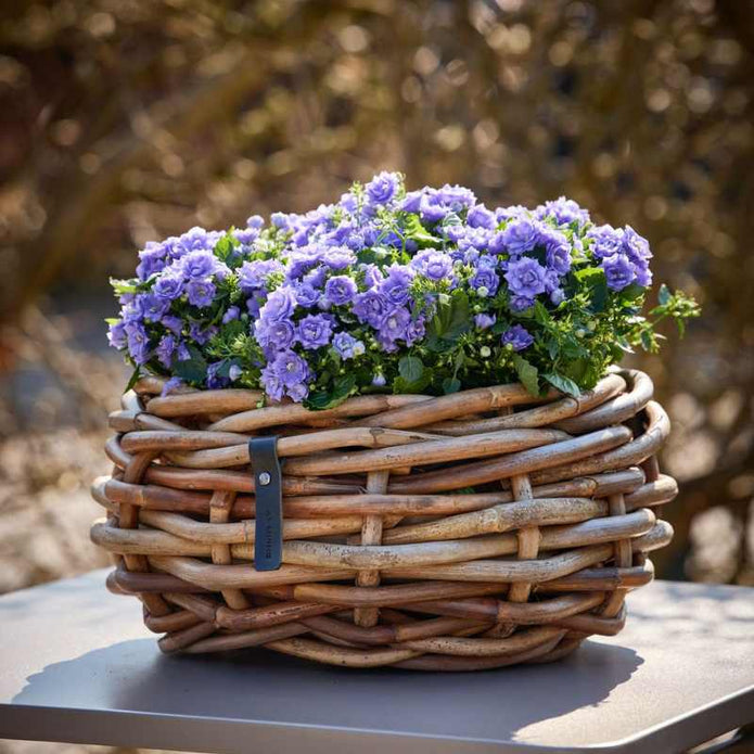 A2 Living Rattan Korb, Schale mini für Indoor und Outdoor, naturbelassen