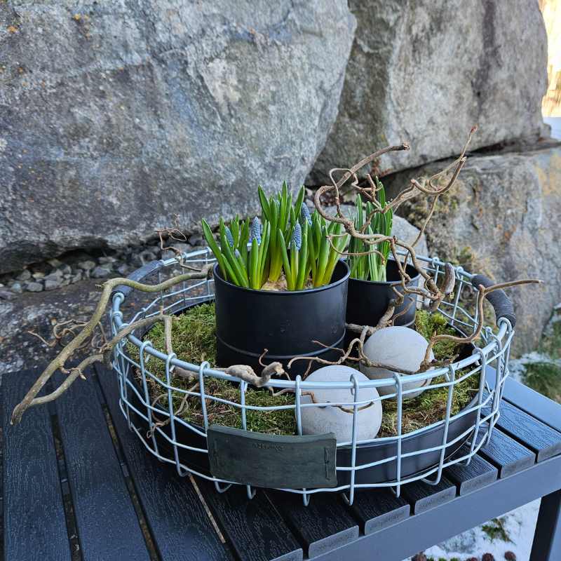 Drahtkorb rund Durchmesse 36 cm von A2 Living