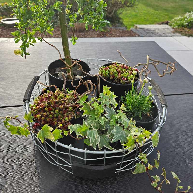Drahtkorb rund Durchmesse 36 cm von A2 Living
