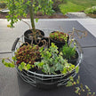 Drahtkorb rund Durchmesse 36 cm von A2 Living