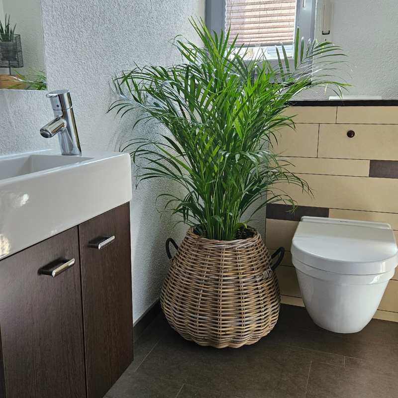 A2 Living Kubu Rattan Korb Pear Maxi