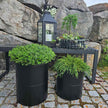 Metall Blumentopf, 2er Set, schwarz von A2 Living