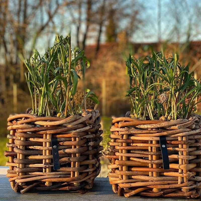 Rattankorb eckig Mini Low von A2 Living für Indoor und Outdoor Länge 27 cm, Breite 27 cm, Höhe 24 cm