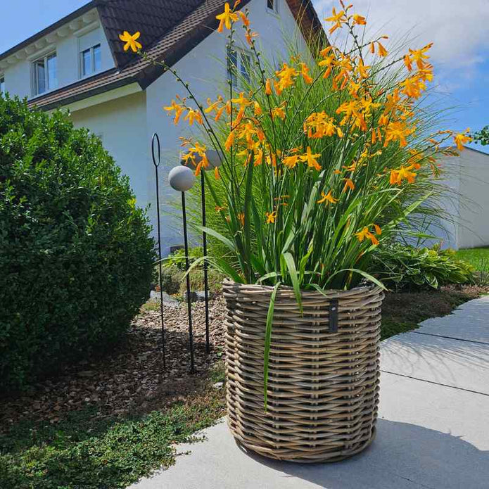 Kubu Rattan-Körbe rund in 4 Größen von A2 Living, für Indoor und Outdoor