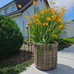 Kubu Rattan-Körbe rund in 4 Größen von A2 Living, für Indoor und Outdoor