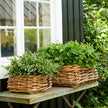 A2 Living Rattan Schalen 2er Set eckig