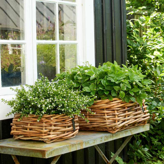 A2 Living Rattan Schalen 2er Set eckig