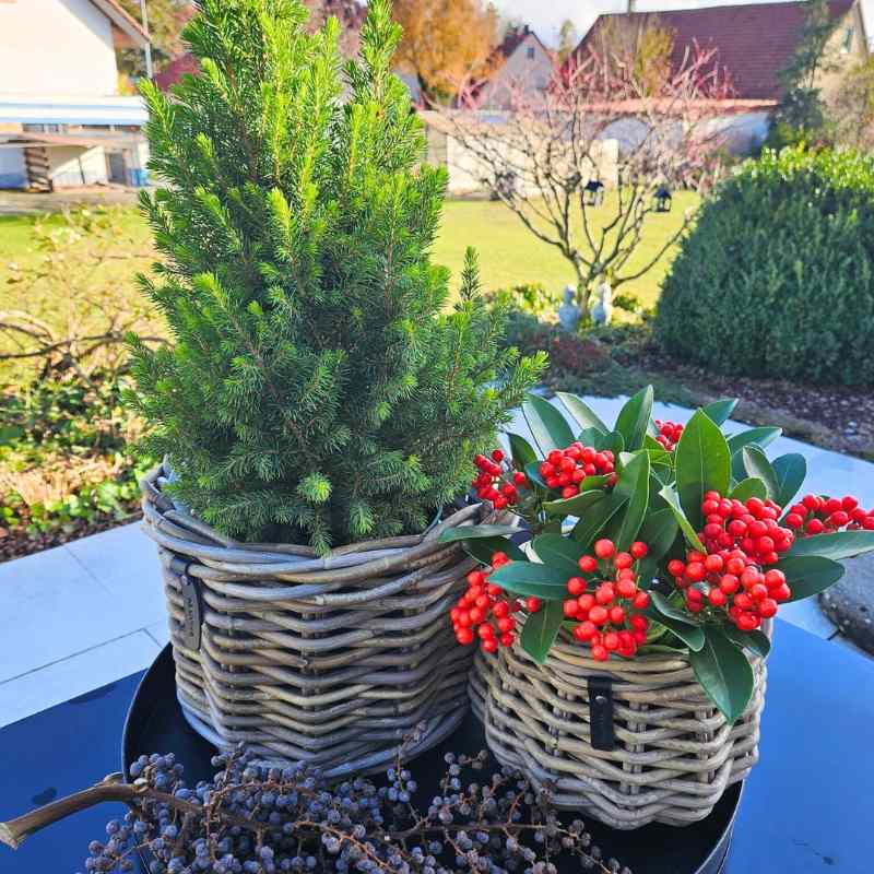 A2 Living Rattan-Korb Blumentopf 'Pear