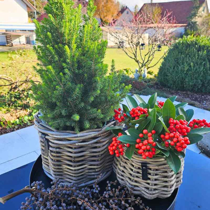 A2 Living Rattan-Korb Blumentopf 'Pear