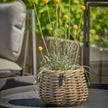 A2 Living Rattan-Korb Blumentopf 'Pear