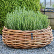 A2 Living Rattan Schale, Mega rund 70x25 cm