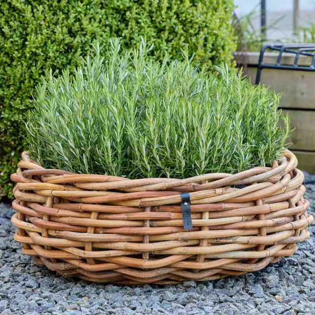 A2 Living Rattan Schale, Mega rund 70x25 cm