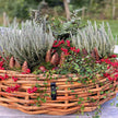A2 Living Rattan Schale, Mega rund 70x25 cm