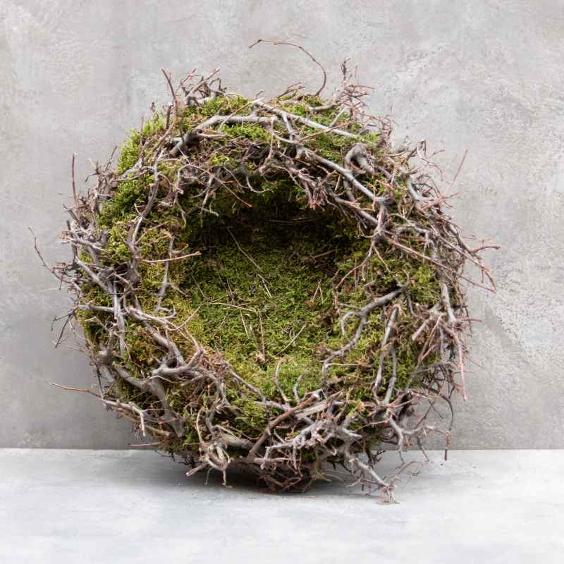 Nest Moos-Bonsai 40 cm, Frühlingsdekoration