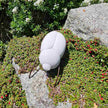 Käfer, Beetle von DBKD natur aus Beton, Gartendeko