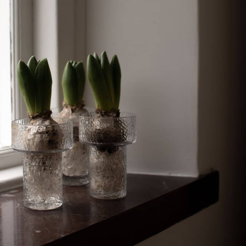 Vase Keeper aus Glas von DBKD in drei Größen