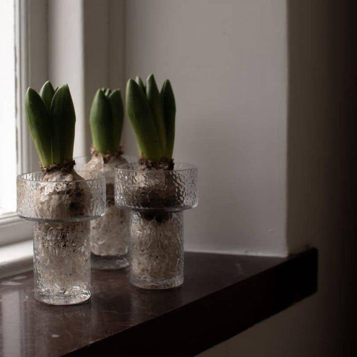 Vase Keeper aus Glas von DBKD in drei Größen
