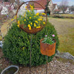 Gartenring RUST mit Schale Ø 47 cm