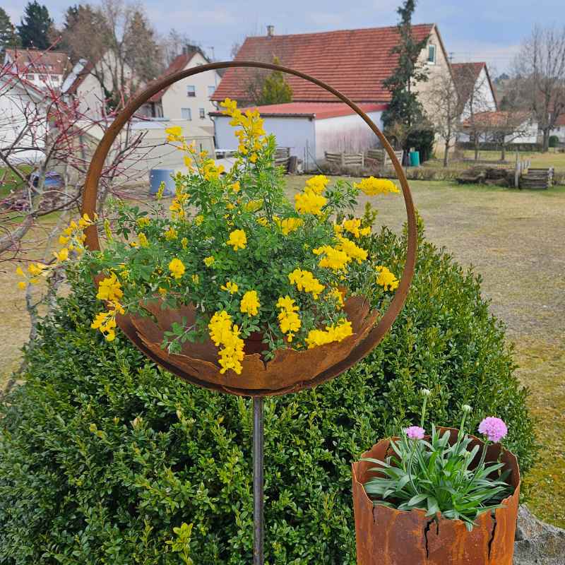 Gartenring RUST mit Schale Ø 47 cm