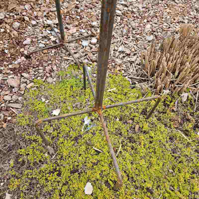 Gartenstab RUST 75 cm