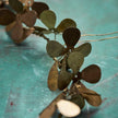 Kranz Clover in 2 Größen