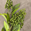 Künstlicher Ligusterzweig grün, 70 cm