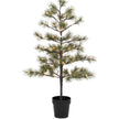 künstlicher Weihnachtsbaum Peuce mit Lichtern von House Doctor