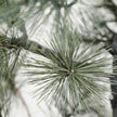 künstlicher Weihnachtsbaum Peuce mit Lichtern von House Doctor