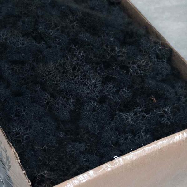 Islandmoos schwarz 500 g
