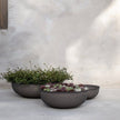 Pflanzschale out bowl schwarz