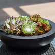 Pflanzschale Monique M von Pottery Pots, schwarz, Fiberstone