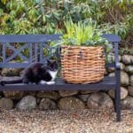 Pflanzkorb A2 Living Rattan Korb Maxi rund low Durchmesser 45 cm, Höhe 39 cm