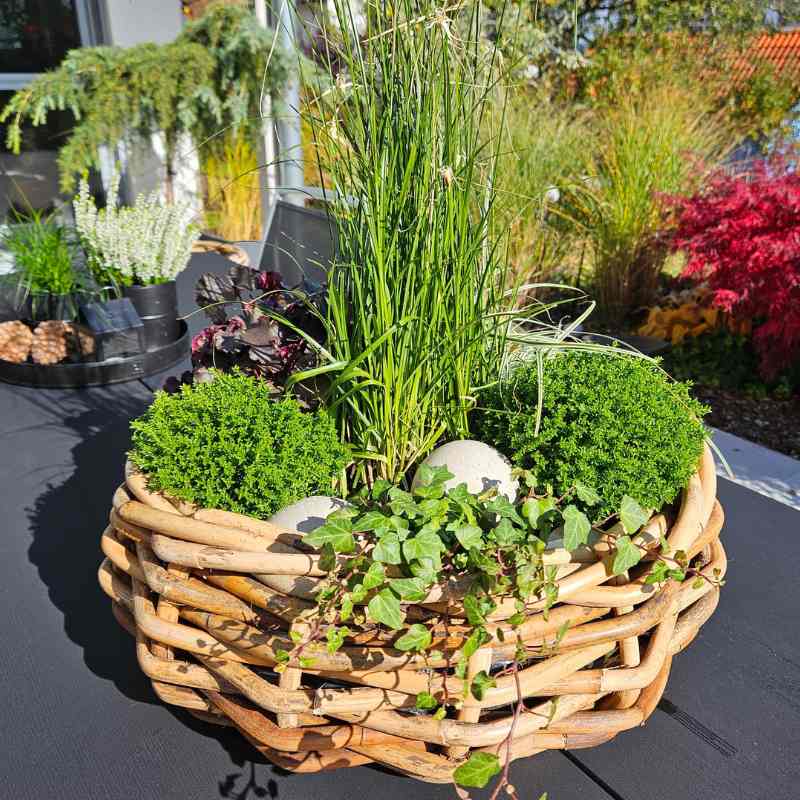 Rattan-Schale Maxi rund 54×20 cm