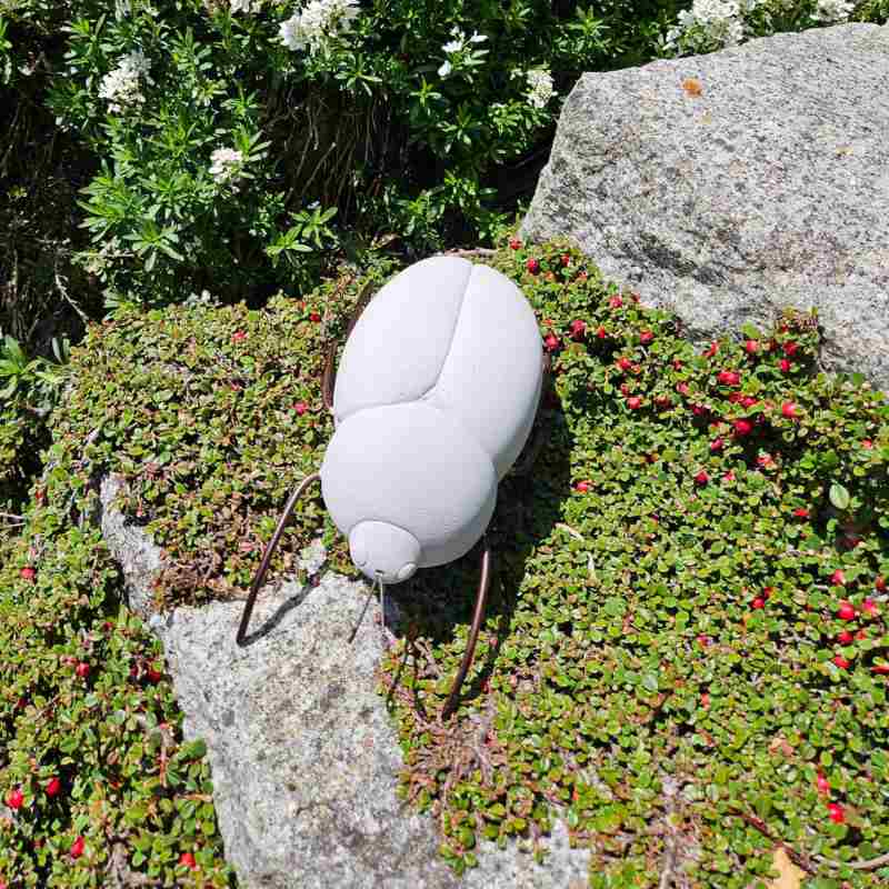 Käfer Karl aus Beton