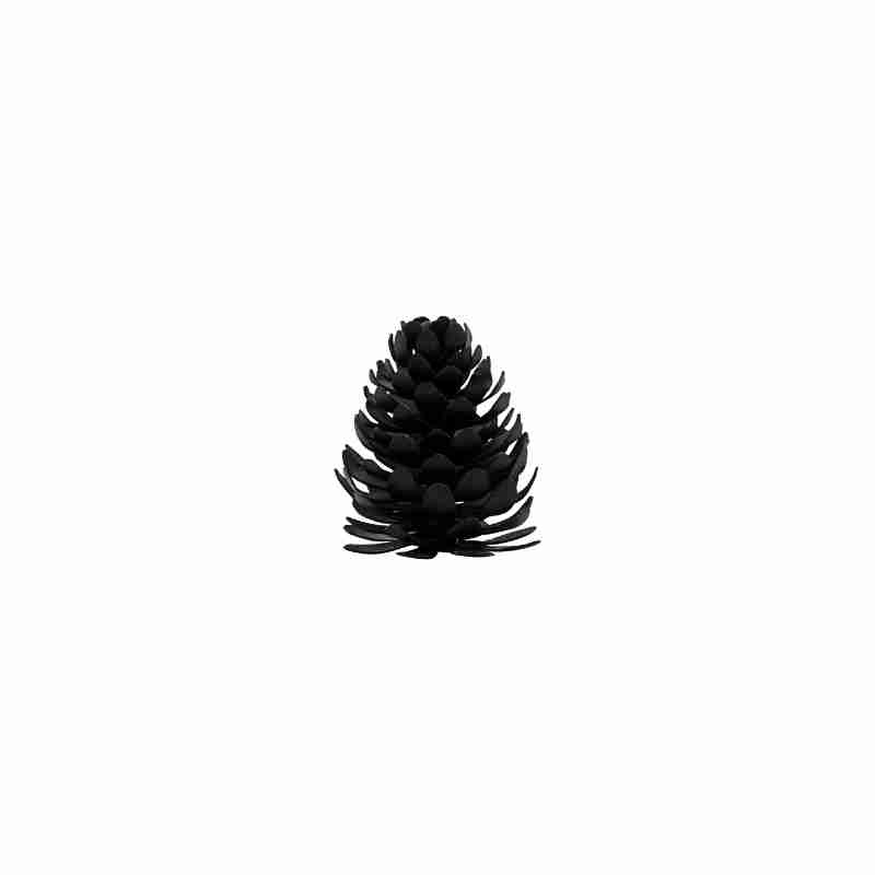 Namensschildhalter Pinus schwarz