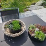Große, runde Rattanschale mit Ø 45 cm