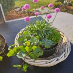 Große, runde Rattanschale mit Ø 45 cm