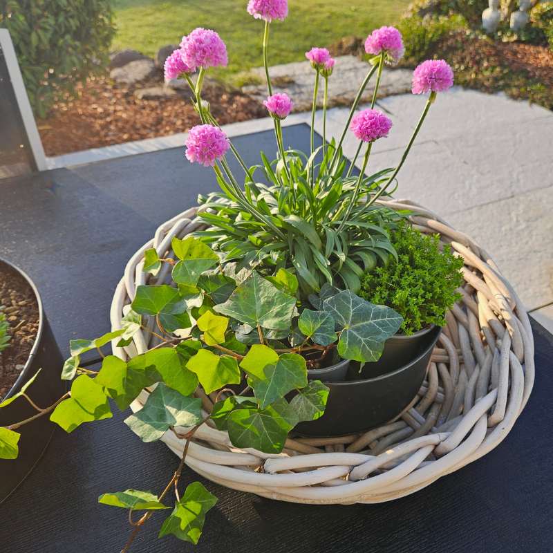 Große, runde Rattanschale mit Ø 45 cm