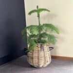Rattankorb Pear 29 x 30cm in Birnenform aus Kubu-Rattan A2 Living