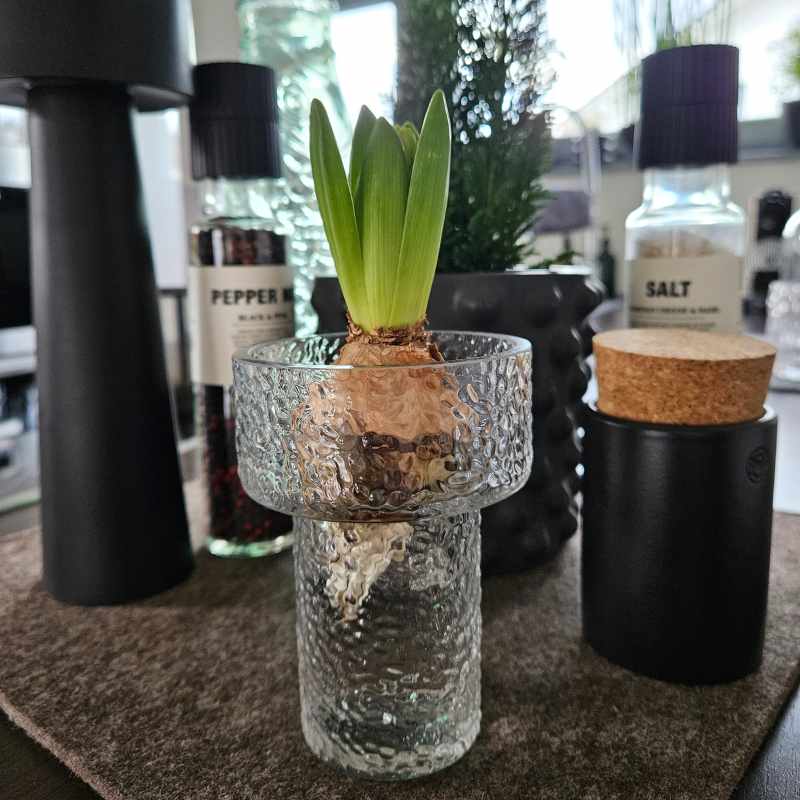 Vase Keeper structure aus Glas von DBKD in drei Größen