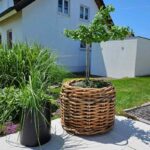 Großer Rattankorb rund in den Maßen Durchmesser 62 cm und der Höhe 50 cm von A2 Living Mega Low