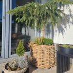 Großer Rattankorb rund in den Maßen Durchmesser 62 cm und der Höhe 50 cm von A2 Living Mega Low