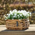 A2 Living Rattan Schale Mini, eckig