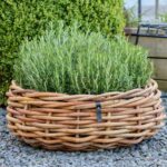 A2 Living Rattan Schale, Mega rund 70x25 cm