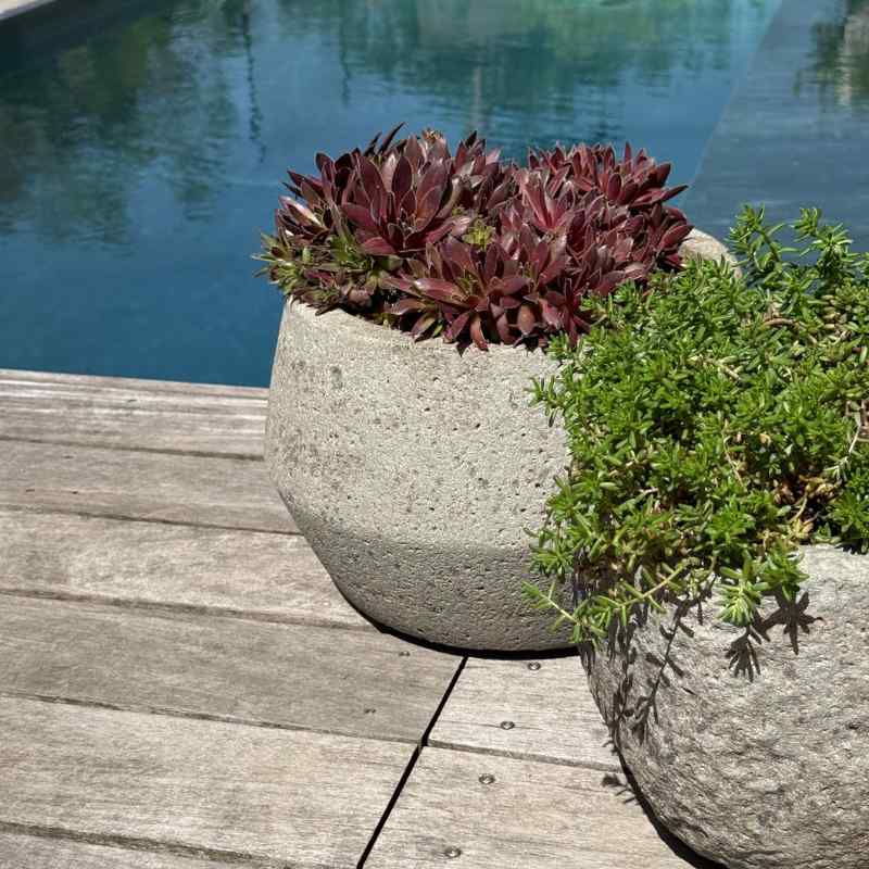 Pflanztopf Harley grau von Pottery Pots