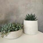 Pflanztopf Patt XL beige-hellgrau von Pottery Pots