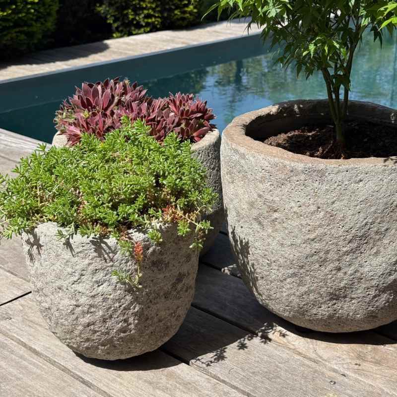 Pflanztopf, Blumentopf Russell von Pottery Pots in zwei Größen, aus Ficonstone