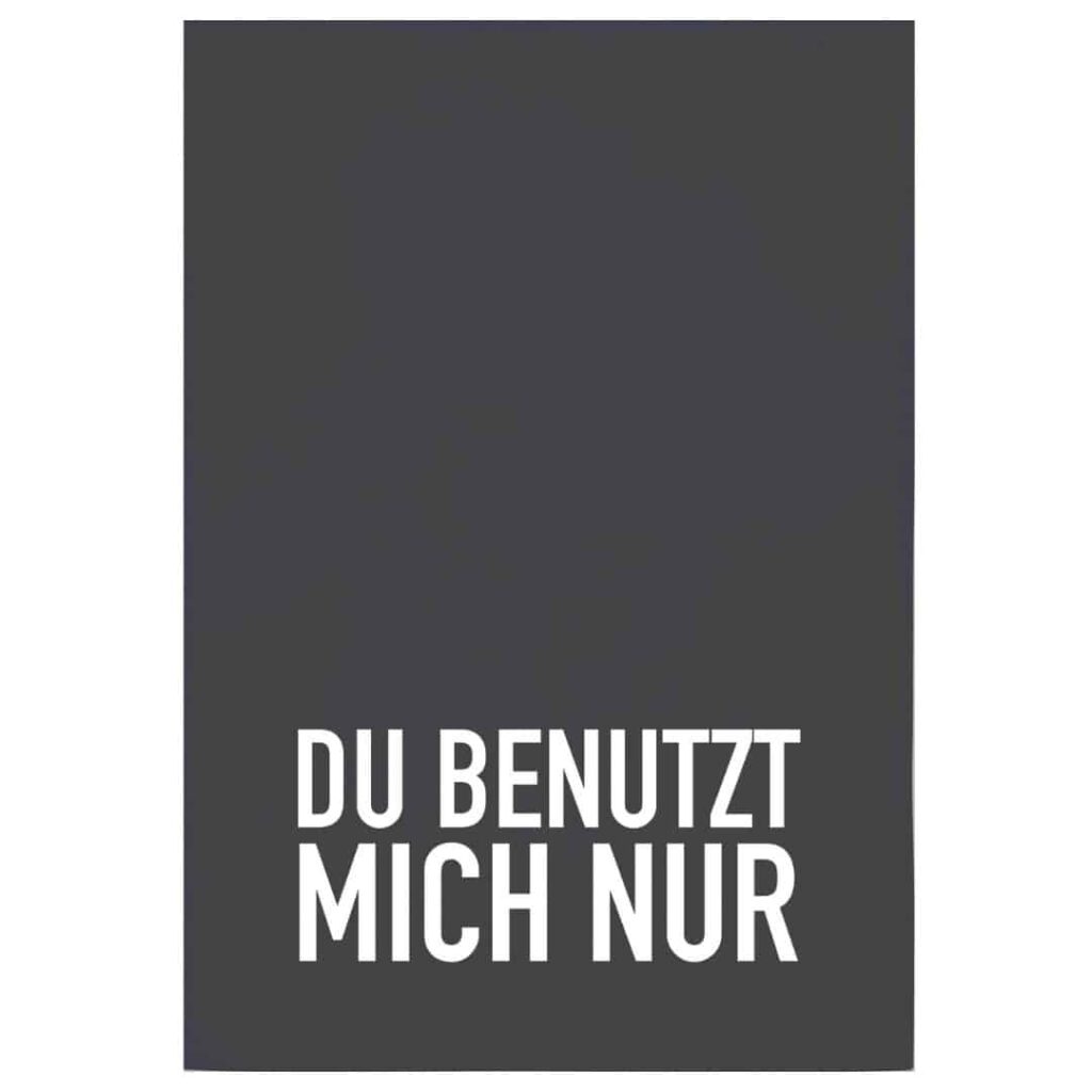 Geschirrtuch mit Spruch "du benutzt mich nur" 100% Baumwolle, 70x50 cm von 17;30 Hamburg
